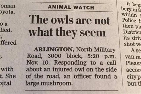 yahoo odd news|Oddities: Weird & Funny News Stories .